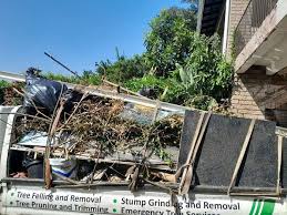 Best Construction Debris Removal  in Bean Station, TN