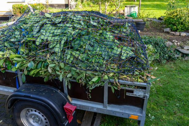 Moving and Downsizing Cleanouts in Bean Station, TN